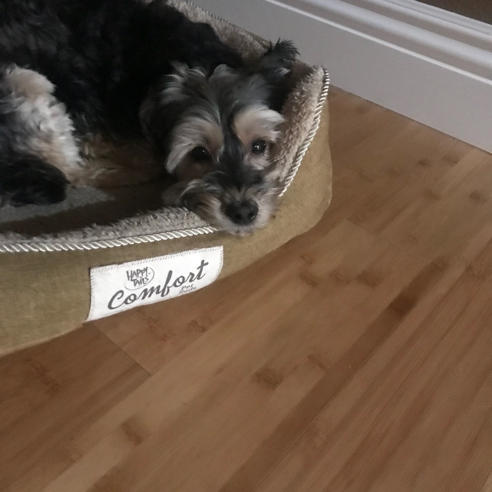 Meet your Posher, Nikki